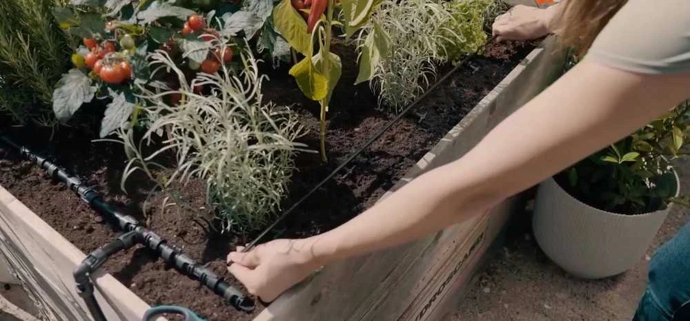 Gardena Pradinis rinkinys lysvėms/pakeltoms lysvėms (35 augalams)