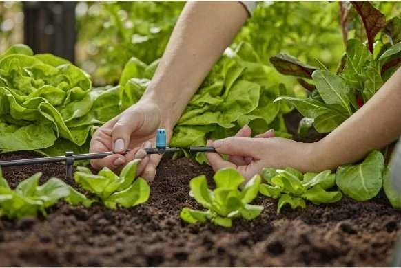 Antgalis Gardena mikrolašelinė sistema mažam plotui, 10 vnt.