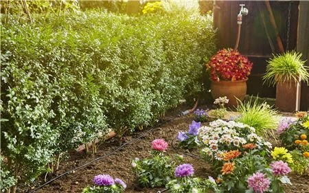 Gardena Lašelinio drėkinimo rinkinys daržovių/augalų eilėms (15m)