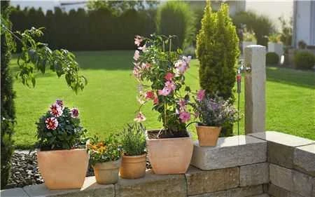 Gardena pradinis rinkinys gėlių vazonams S