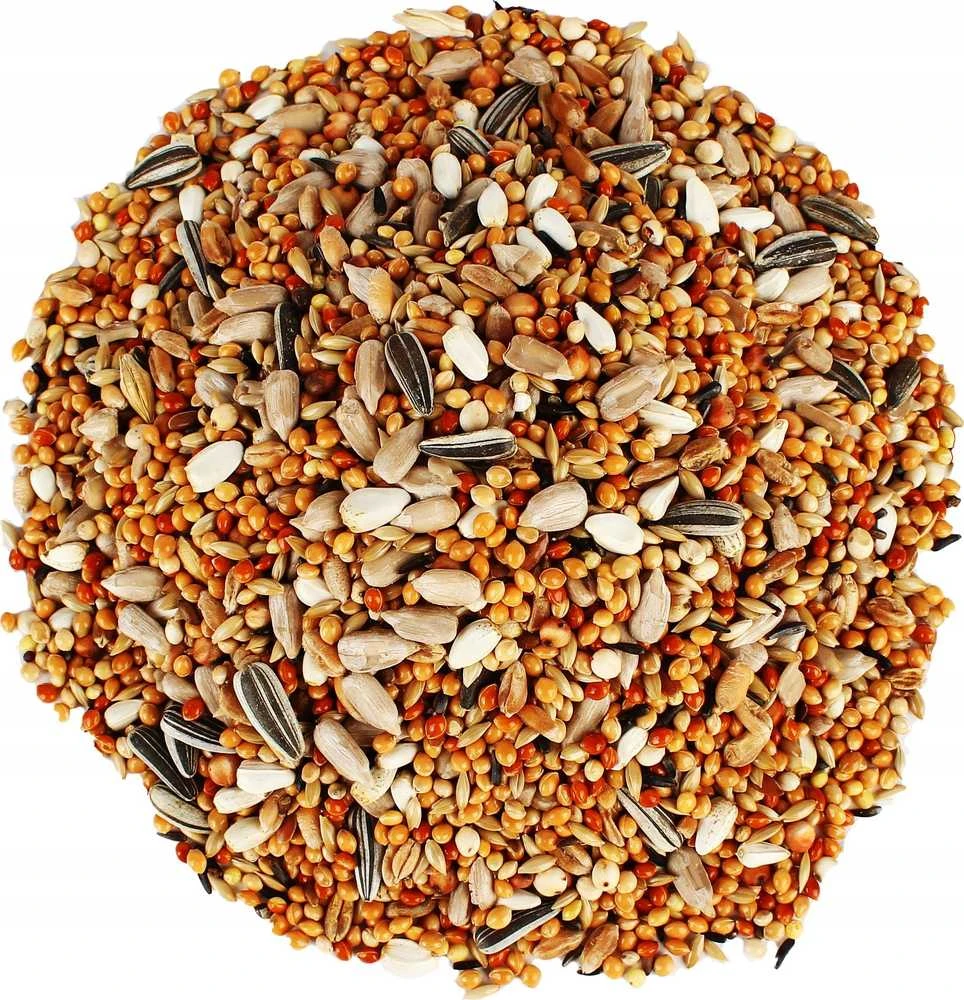 Garden&Fun Pašaras laukiniams paukščiams 2,4kg GF-12861