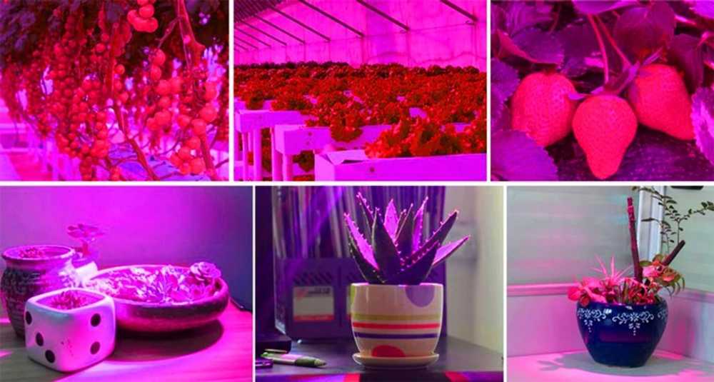Gardlov 200 LED lempa augalų augimui