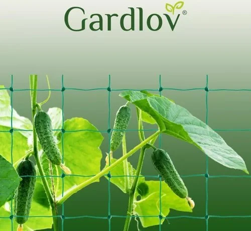 Tinklas vijokliniams augalams 2x20m Gardlov 23980