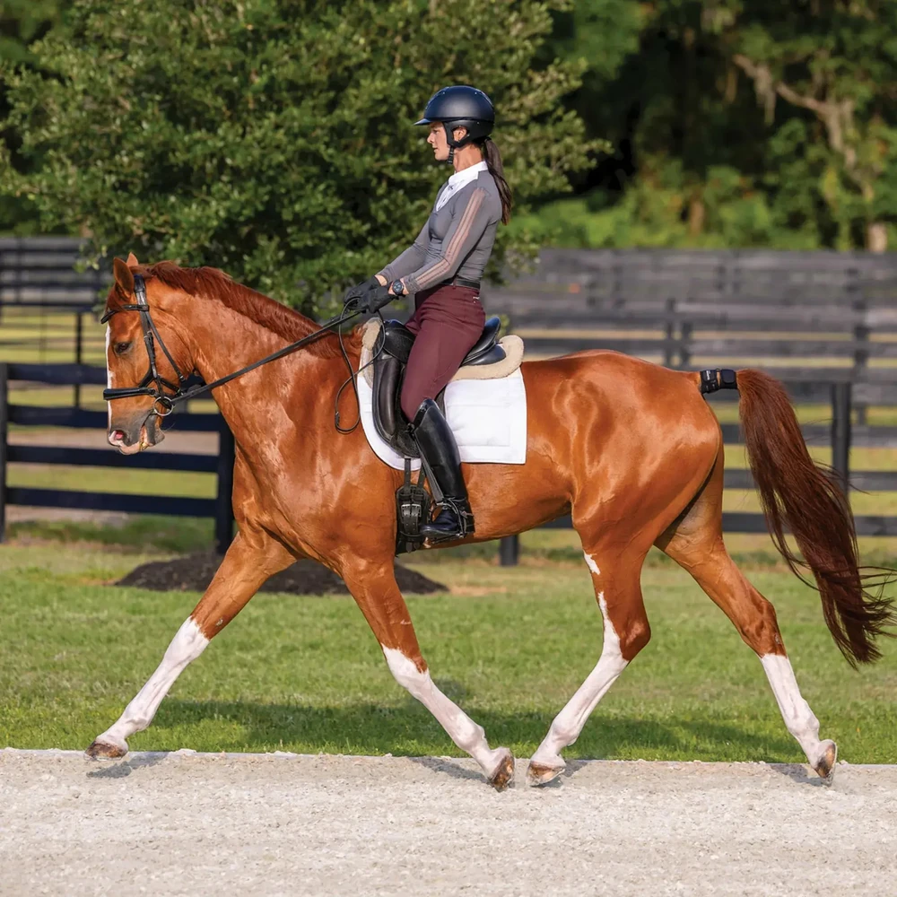 Garmin Blaze Equine wellness system