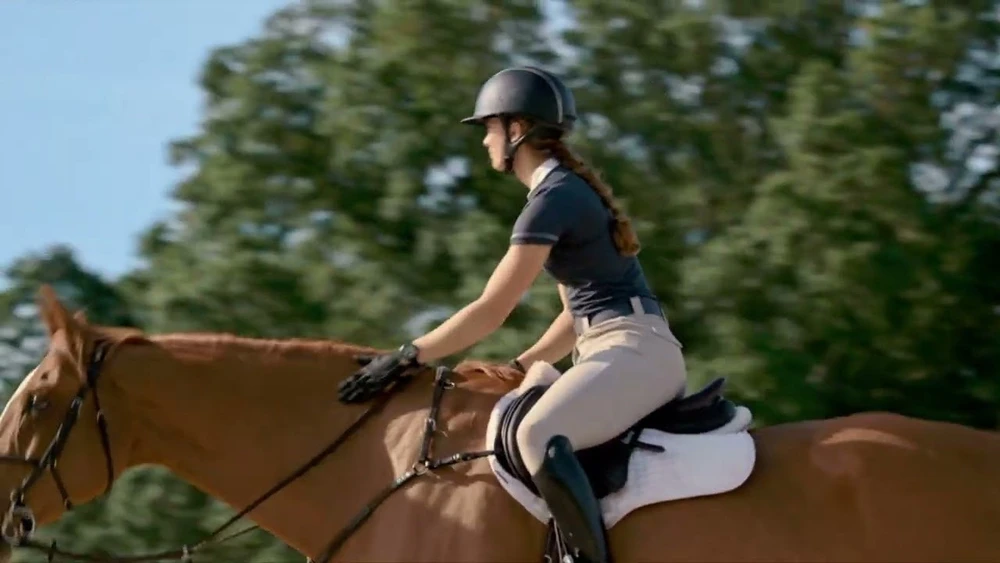 Garmin Blaze Equine wellness system