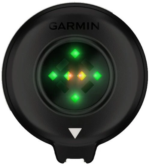 Garmin Blaze Equine wellness system