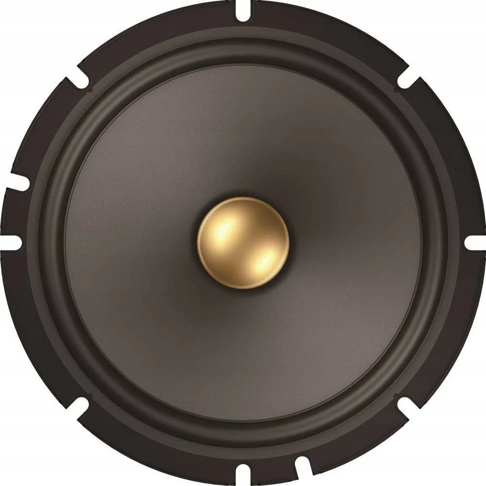 Pioneer TS-A1601C garsiakalbis su auksiniu centrinės dalies kupolu