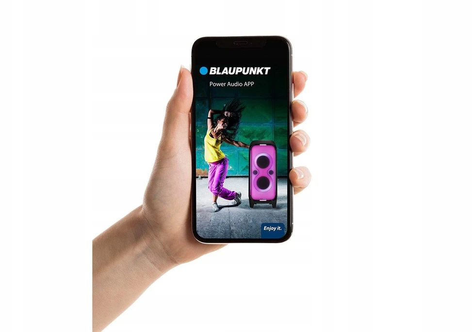 Nešiojama kolonėlė Blaupunkt Party Box PB100X
