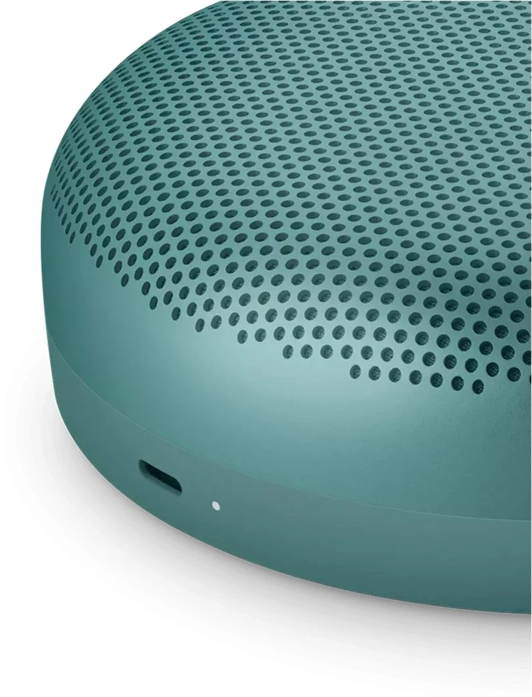 Bang & Olufsen Beosound A1 3rd Gen Eucalyptus Žalias