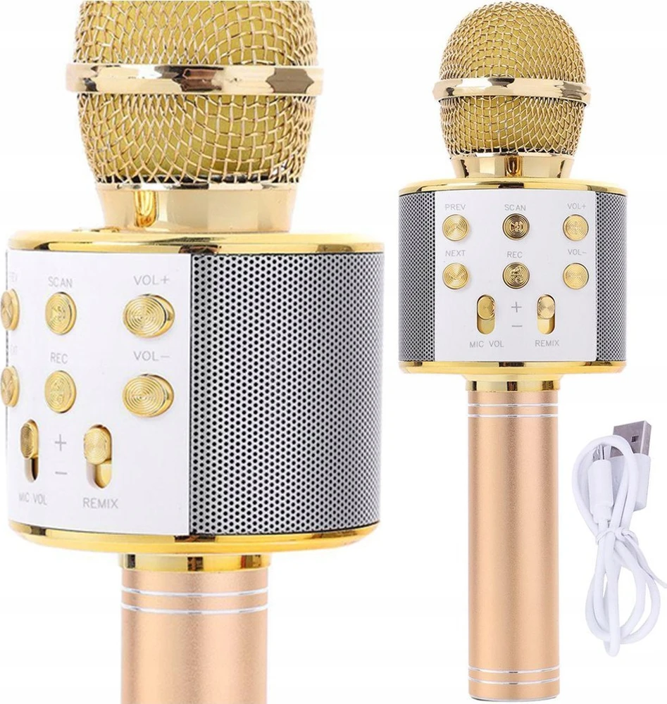 Gotel Belaidis karaoke garsiakalbis su 2 mikrofonais –