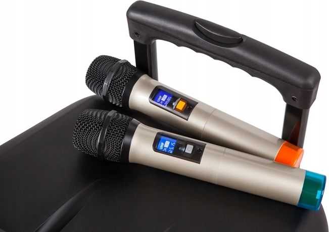 Kruger & Matz Aktyvus garsiakalbis (su 2 belaidžiais mikrofonais UHF, SD, Bluetooth, FM, USB) 40 W