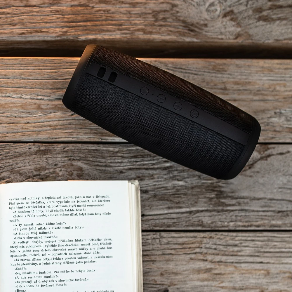 Niceboy RAZE 2 Ego Bluetooth 5.0 belaidis garsiakalbis / FM / Aux / USB / Micro SD / 12 W