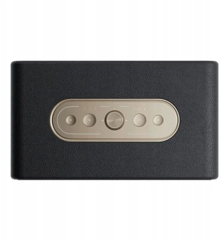 QCY SP300 belaidė kolonėlė (juodas)