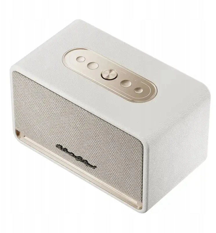 QCY SP300 belaidė kolonėlė (Baltas)
