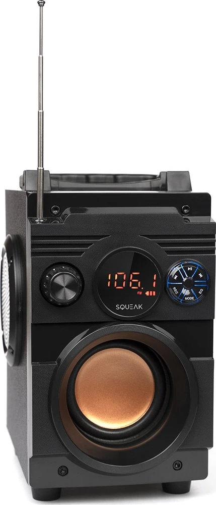 Nešiojama kolonėlė  Squeak  5.1 BassBlaster