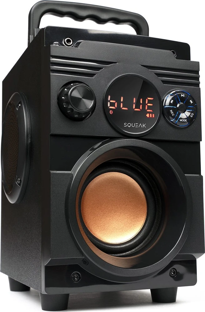 Nešiojama kolonėlė  Squeak  5.1 BassBlaster
