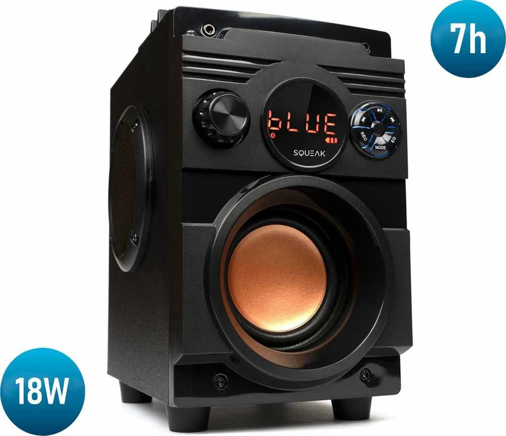 Nešiojama kolonėlė  Squeak  5.1 BassBlaster