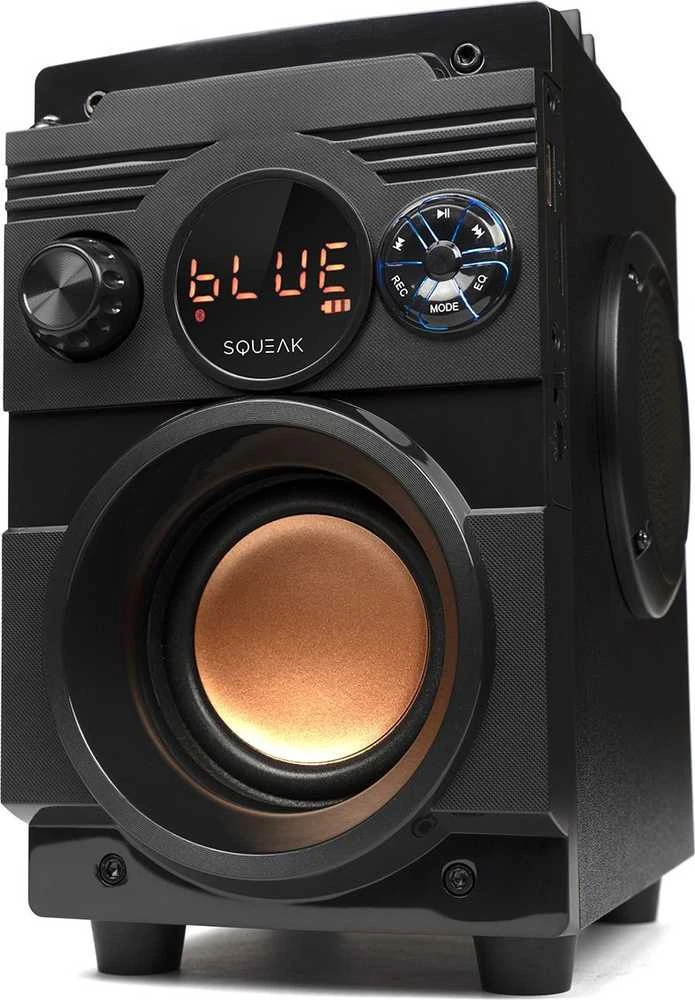Nešiojama kolonėlė  Squeak  5.1 BassBlaster