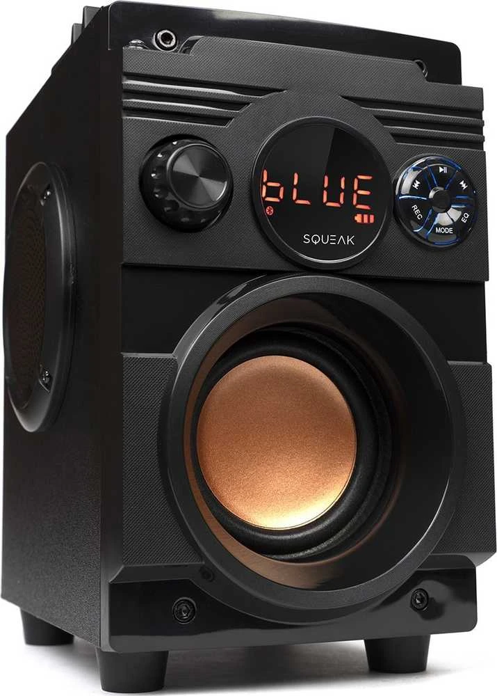 Nešiojama kolonėlė  Squeak  5.1 BassBlaster