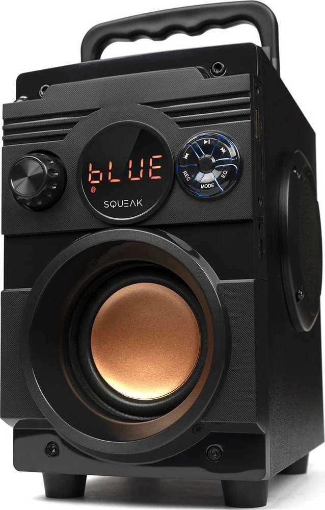 Nešiojama kolonėlė  Squeak  5.1 BassBlaster