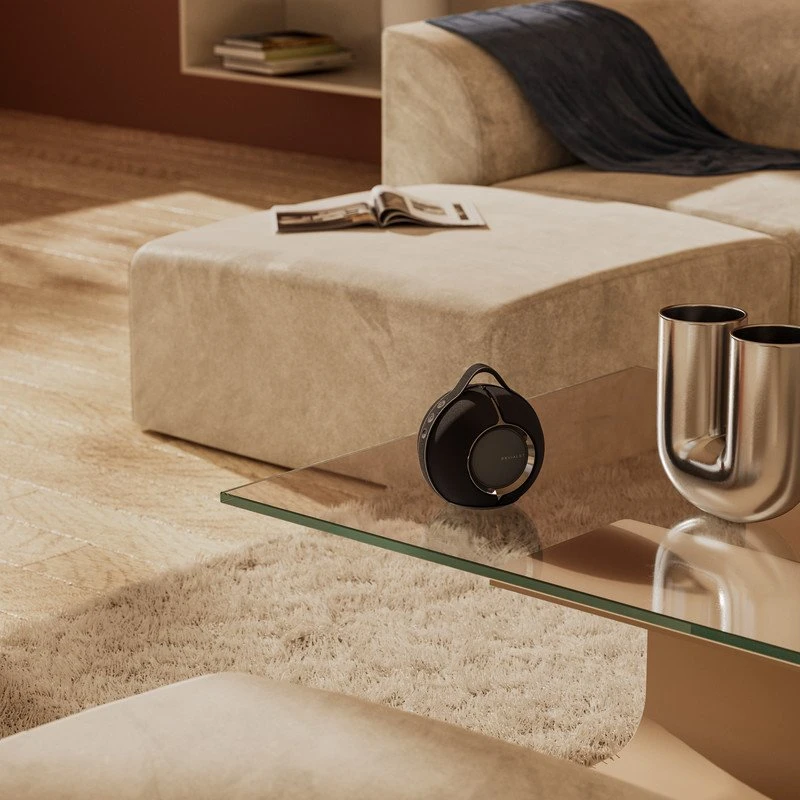 Nešiojama kolonėlė Devialet Mania, Juodos spalvos