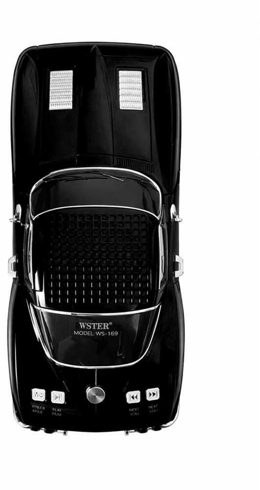 Garsiakalbis Wster WS-1969 juodas (Wster)