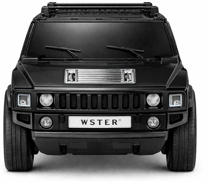 Wster WS-590 garsiakalbis, juodas (Wster)