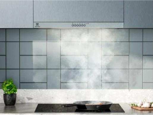 Gartraukis Electrolux LFP536X (Pažeista pakuotė)
