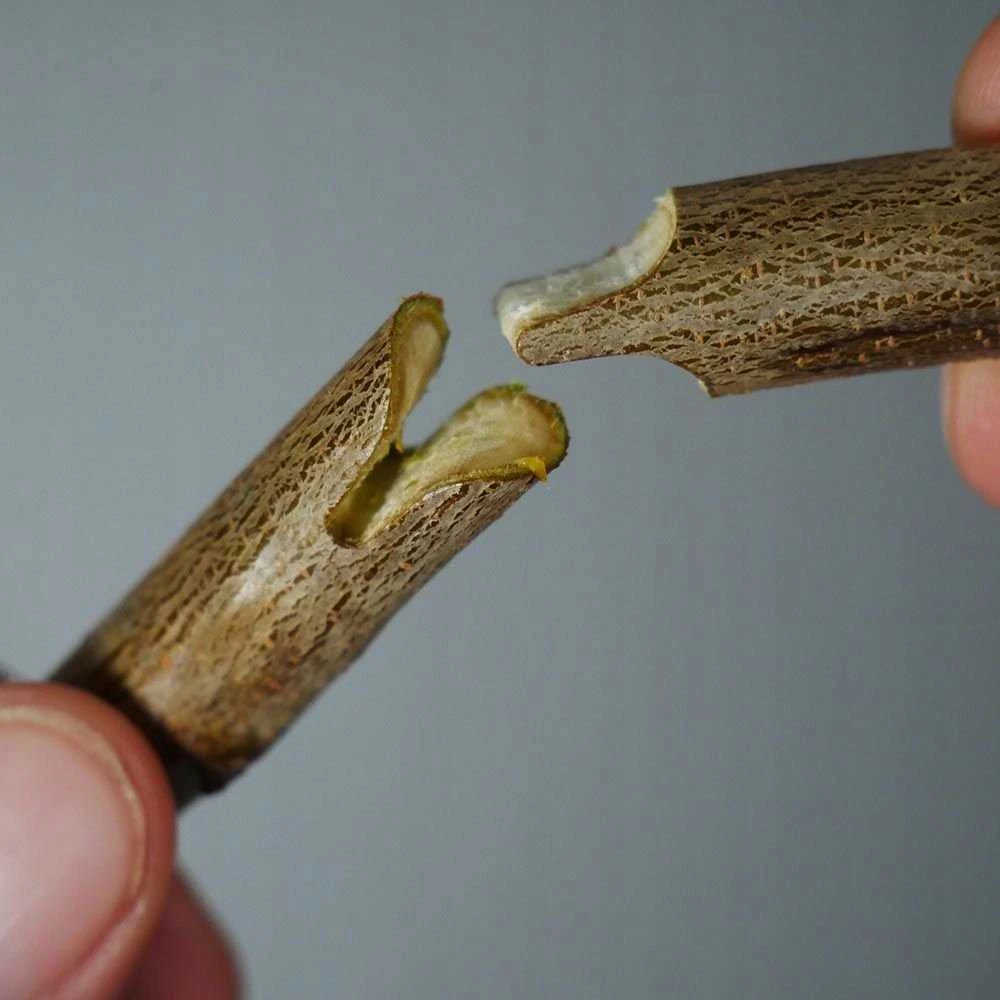 Geko Genėjimo žirklės – vynuogių, medžių ir krūmų skiepijimui – didelis rinkinys + dėklas