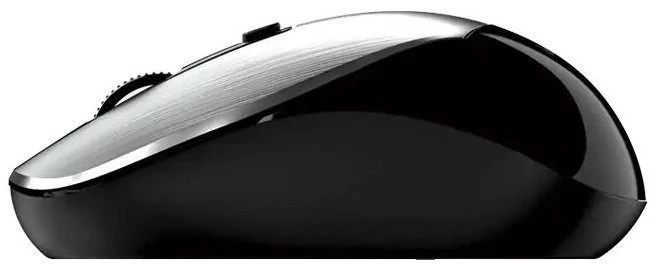 Pelė Genius NX-7125 Srebrna (31030044402)