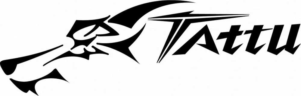 Gens Ace & Tattu Lipo Tattu R-Line versija 5.0 1550mAh 22.2V 150C 6S baterija su XT60 jungtimi