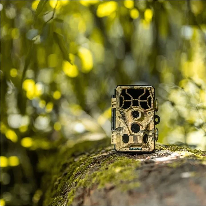 Kameros gaudyklė - Camouflage EZ45 - WiFi - WildcameraXL