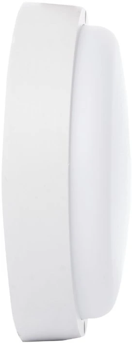 Germina Rūsio šviestuvas 20W apvalus GW-0162