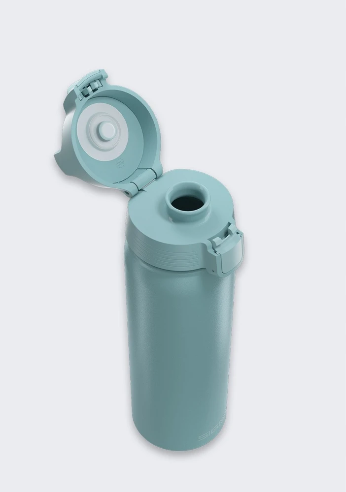 Gertuvė SIGG SIGG Buteliukas WMB One Morning Mėlyna 1.0L 6168.80