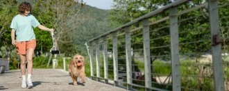 Feiyu Tech FeiyuTech Vimble 4 delninis gimbal išmaniesiems telefonams