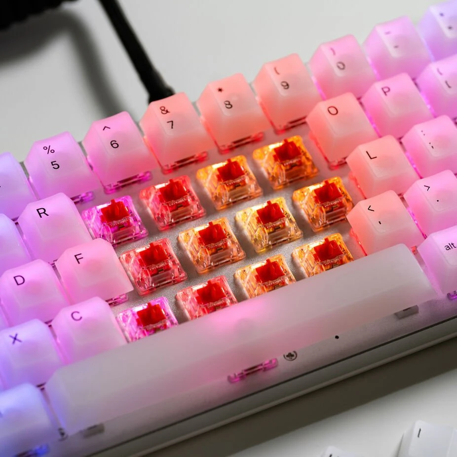 Klaviatūra Glorious Fox Heavy Switches, mechaniniai, 5-Pin, linear, MX-Stem, 55g – sutepti lubrikantu, 110 vnt