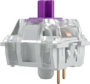 Glorious Pro Kailh Purple Switches klavišai klaviatūrai (120 vnt)