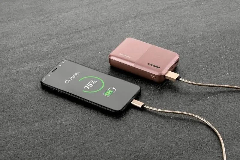 Powerbank GoGEN PB100007RG 10000 mAh Rožinė (GOG-PB100007RG)