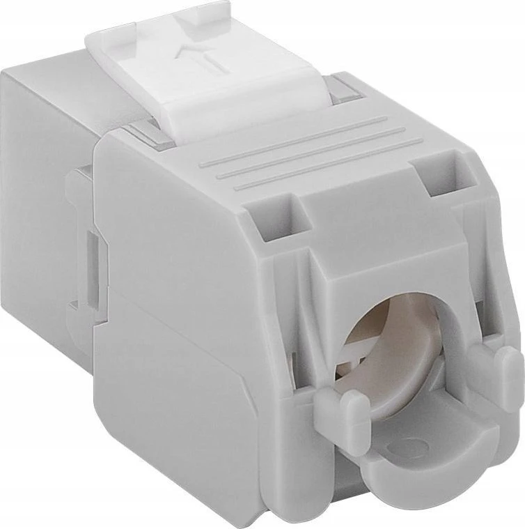 Goobay CAT 6A Keystone RJ45 lizdas, UTP, 500 MHz – šviesiai pilkos spalvos versija
