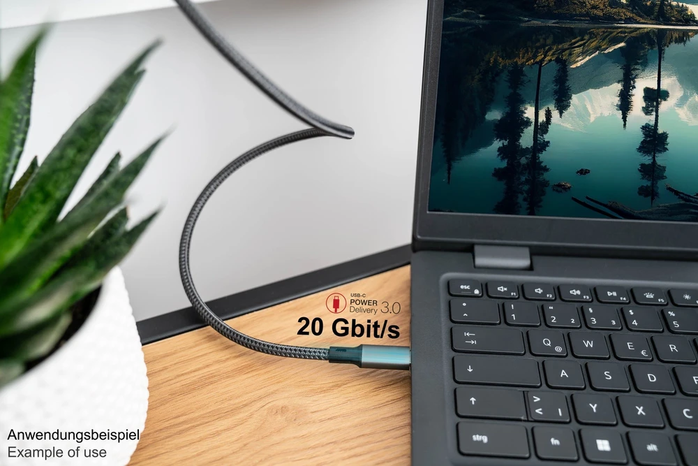 Kabelis USB Good Connections USB-C - USB-C 1 m Pilka (2402-T010A)