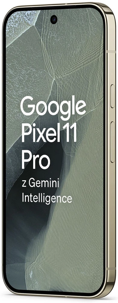 Google Pixel 11 Pro 5G Dual Sim 12GB RAM 256GB – Alyvuogių