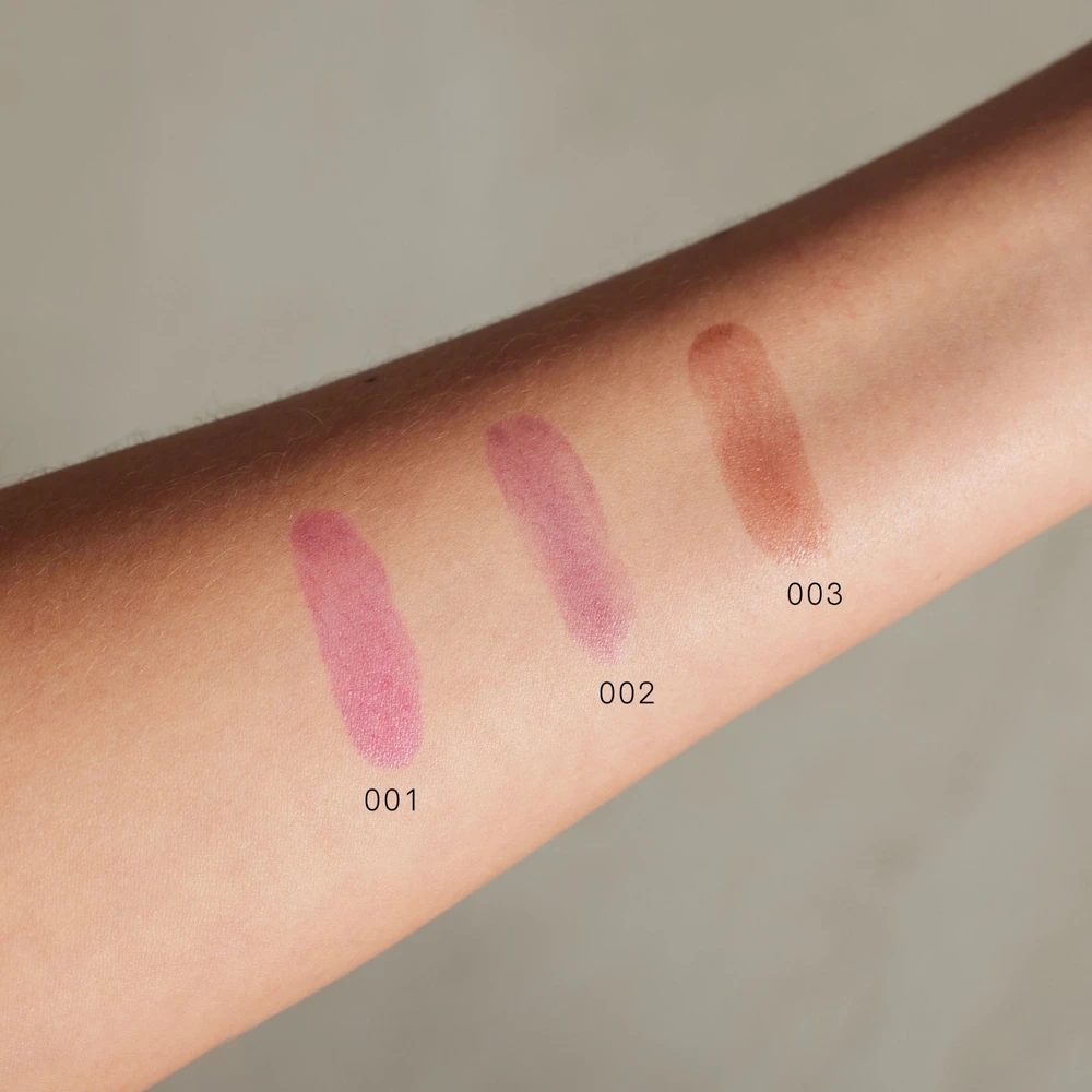 „Gosh Lip Stain“ skysti lūpų dažai „002 Wild Berry“, 3 ml