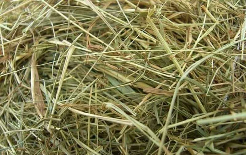 Gospodarstwo Rolne FARM HAY WĘGROWSKIE NATURAL PAKUOTĖ 5x0,37kg.