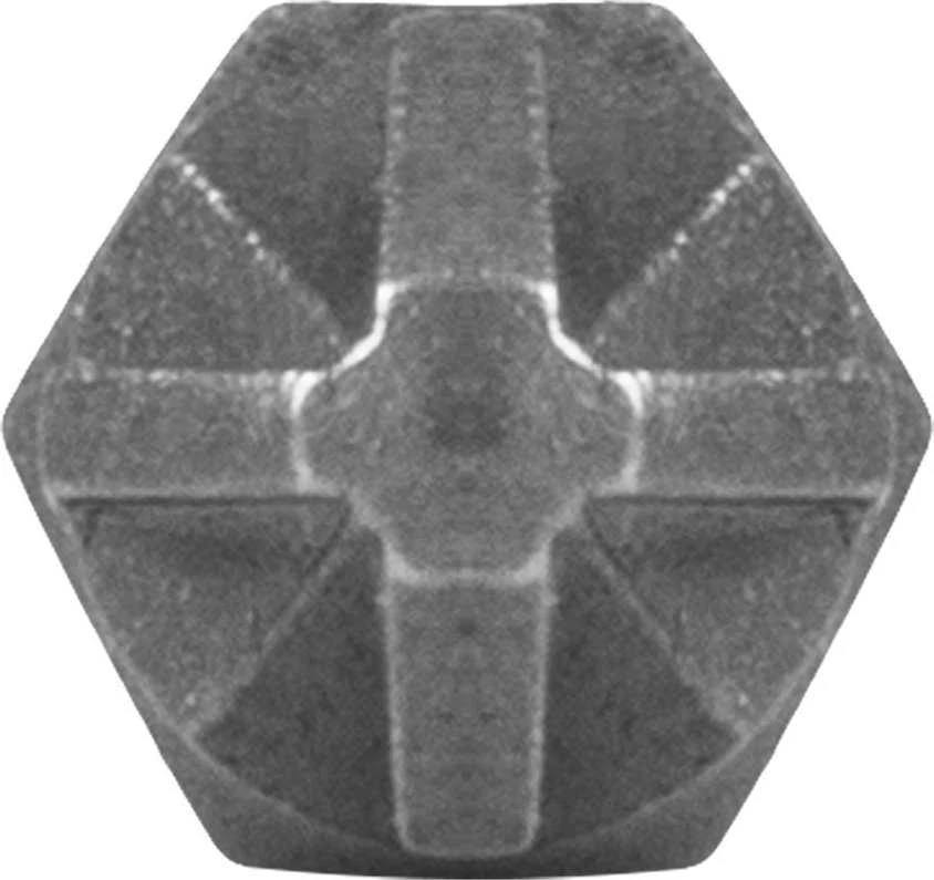 Koncówki PZ2 x 25 mm atsuktuvo antgaliai, 100 vnt.