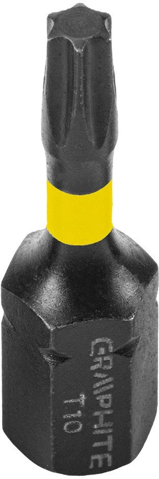 Bity Smūginiai antgaliai TX10 x 25 mm, 20 vnt.