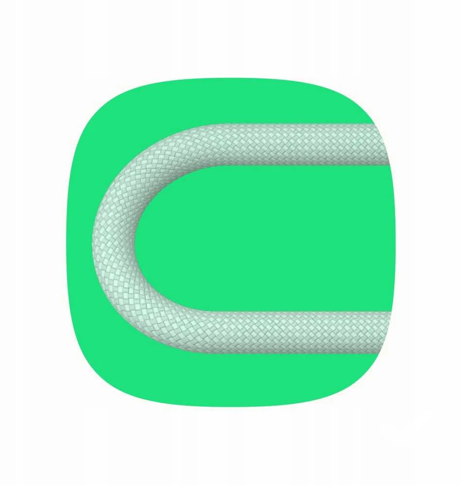 Green Cell Žalias Cell USB-C laidas 2 m 100 W Greencell PowerStream greito įkrovimo PD Panther Juodas