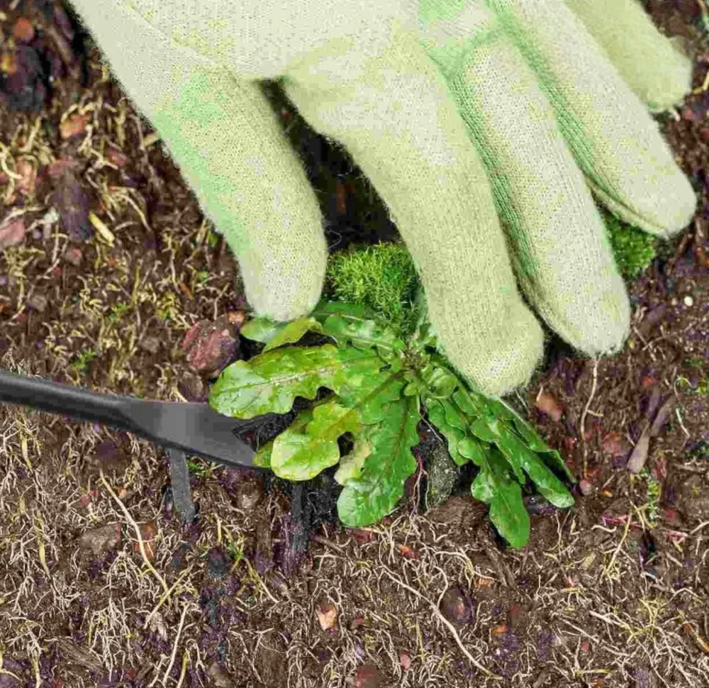 FLORALAND GREENMILL PLIENINIS PŪDŽIŲ IŠRAVIKLIS SU ATRAMA, MEDINE RANKENA