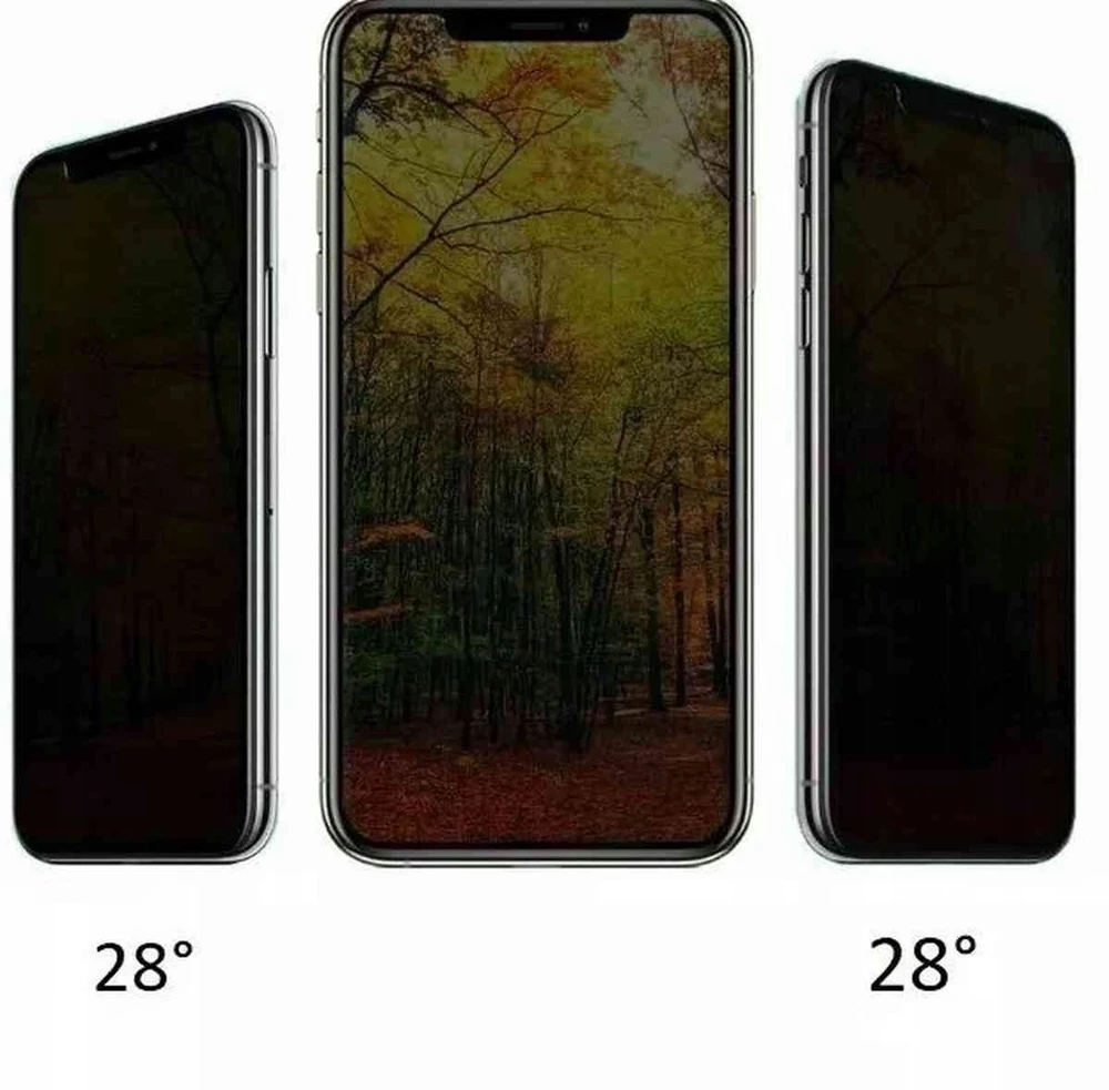 TFO Privatumą užtikrinantis grūdintas stiklas Samsung Galaxy S25 FE