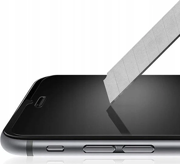 Reach LCD apsauginis stikliukas 9H Sony Xperia 10 III 5G