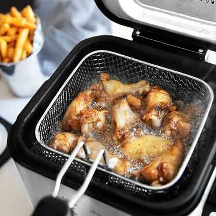 CECOTEC Gruzdintuvė CleanFry Infinity 1500